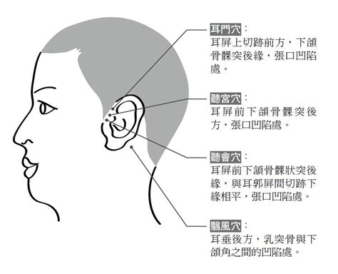 血液循環耳鳴穴道|台灣中醫醫學網